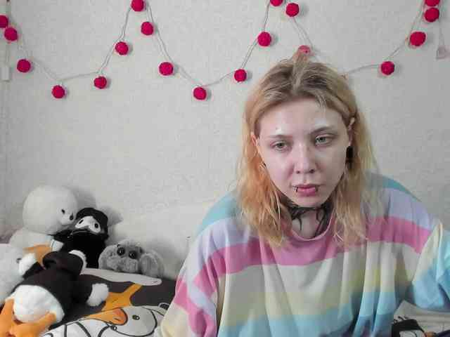Nyan-Cat webcam