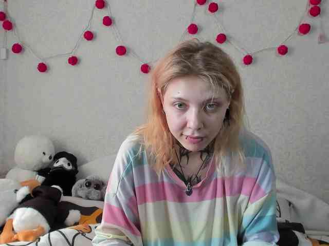Nyan-Cat webcam