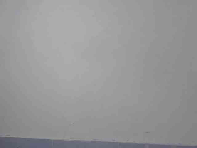 Abby-03 webcam