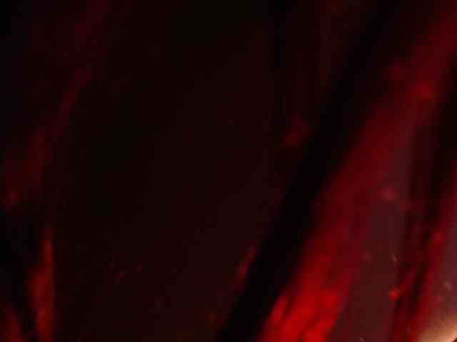 Maya-Baker webcam