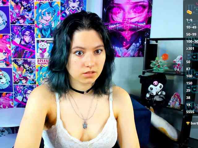 Bonni-Meiz webcam
