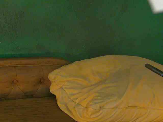 LittlePoem webcam