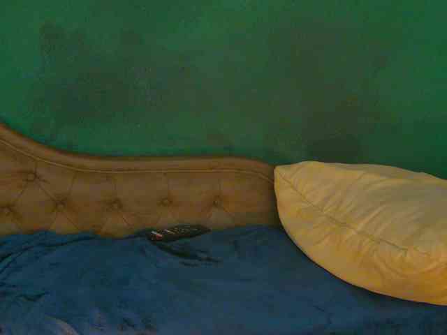 LittlePoem webcam