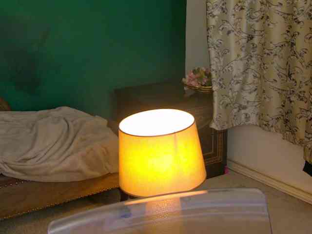 LittlePoem webcam