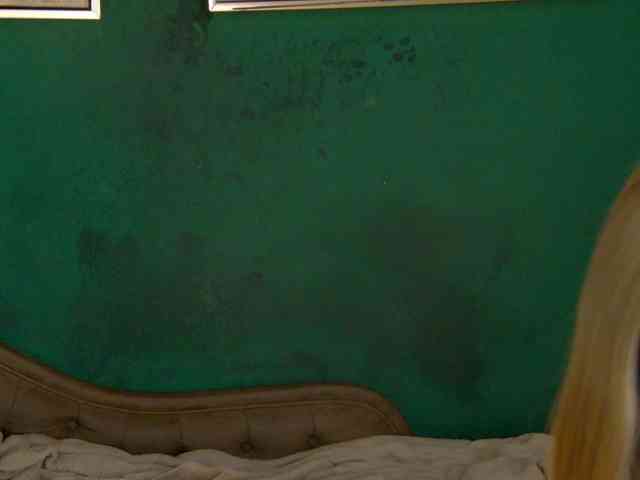 LittlePoem webcam