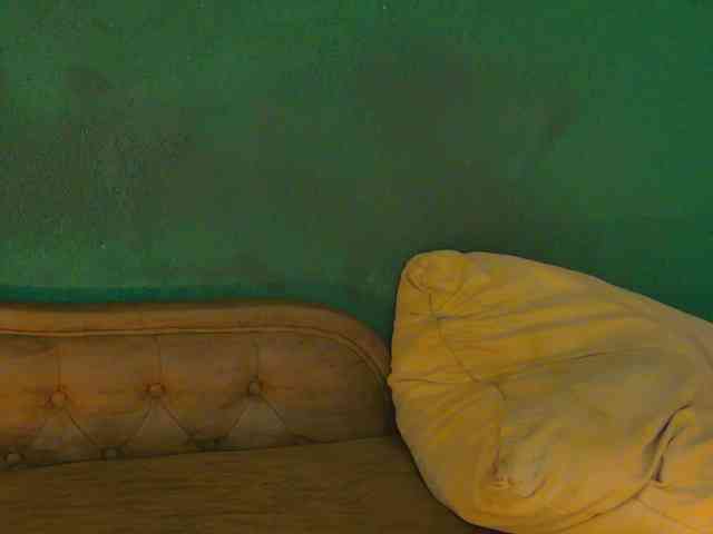 LittlePoem webcam