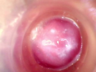 Shannon-kane Porn Show