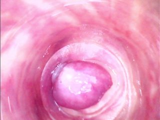 Shannon-kane Porn Show