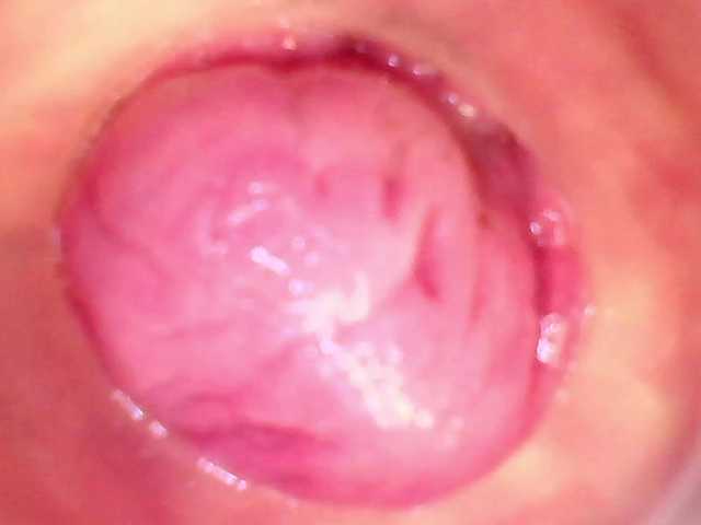 Shannon-kane's BongaCams show and profile