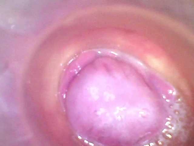 Shannon-kane's BongaCams show and profile