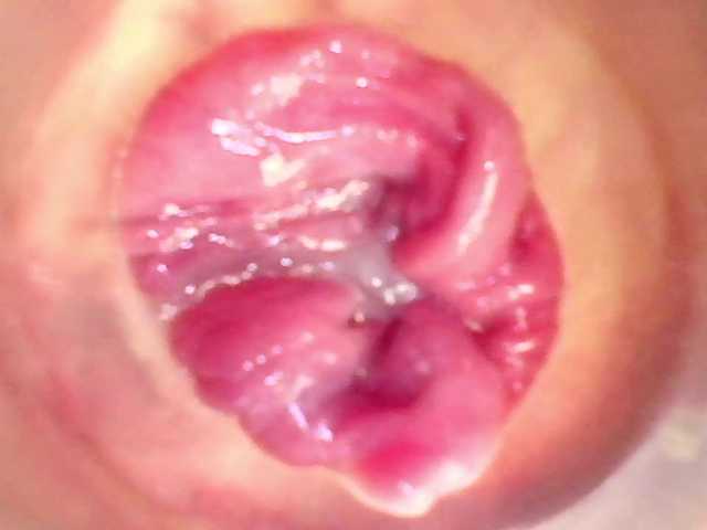 Shannon-kane's BongaCams show and profile