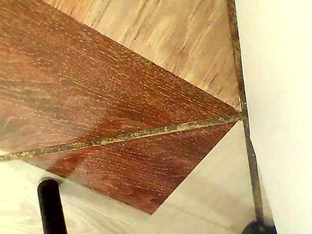 Shannon-kane's BongaCams show and profile