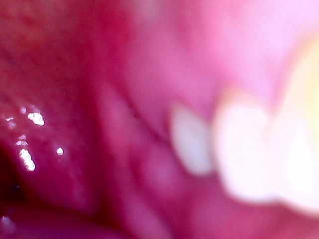 Shannon-kane's BongaCams show and profile