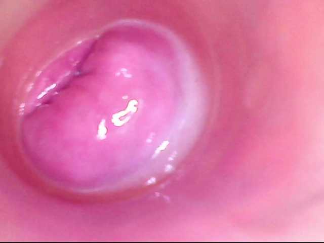 Preview of shannon-kane