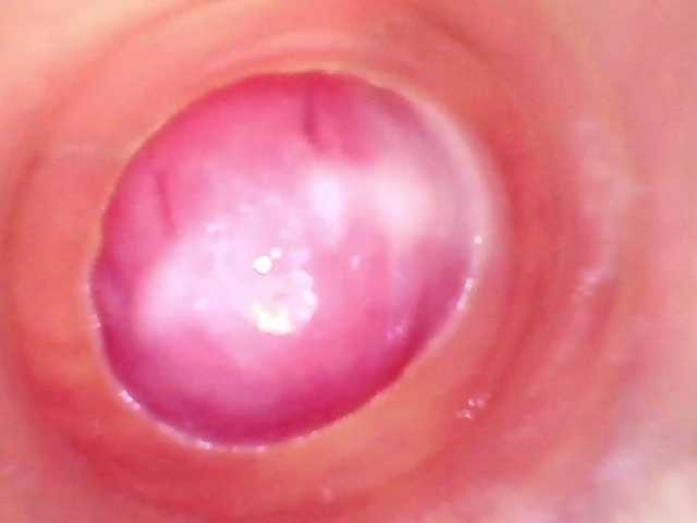 Shannon-kane's BongaCams show and profile