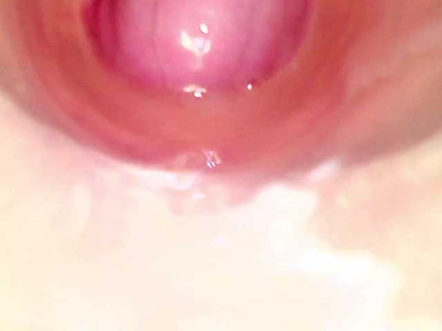 Shannon-kane's BongaCams show and profile