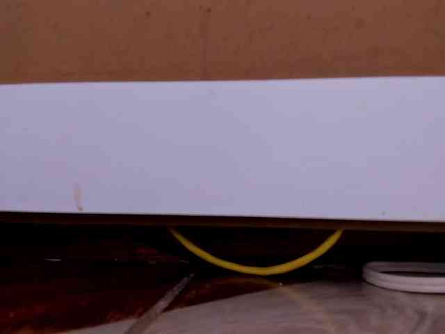 Shannon-kane Shannon-kane