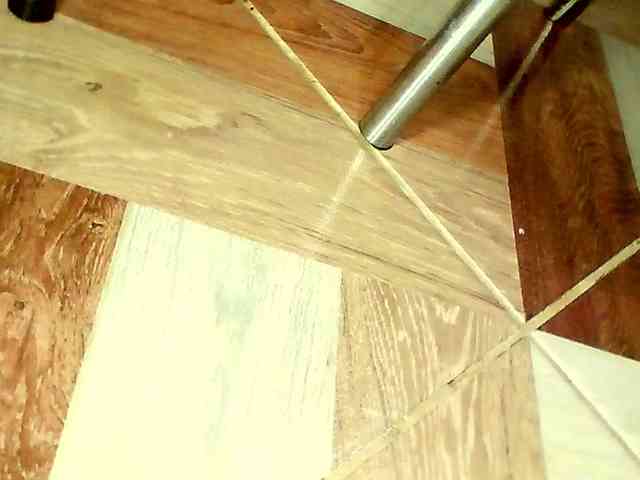 Shannon-kane Shannon-kane