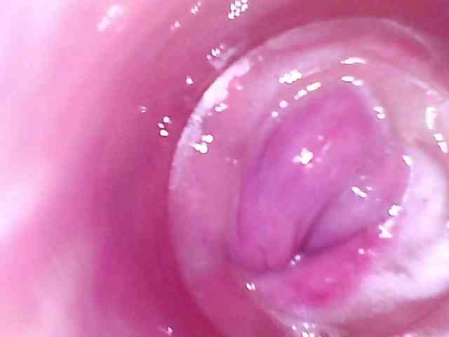 Shannon-kane webcam