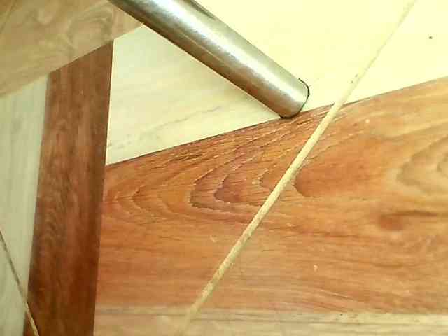 Shannon-kane Shannon-kane