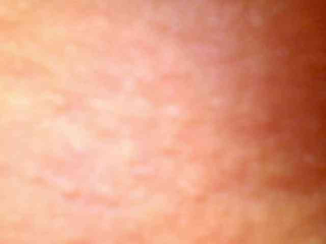 Shannon-kane Shannon-kane