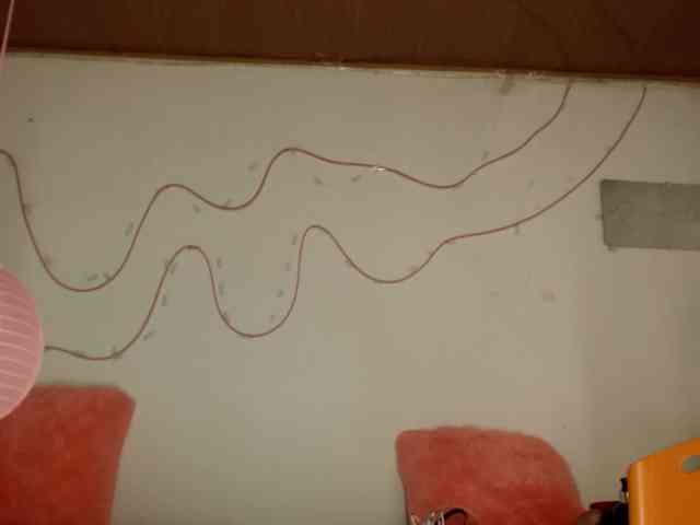 Shannon-kane Shannon-kane