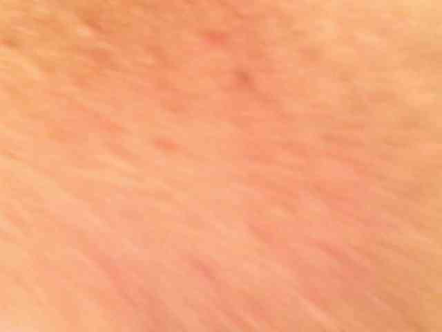 Shannon-kane Shannon-kane