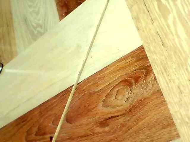 Shannon-kane Shannon-kane