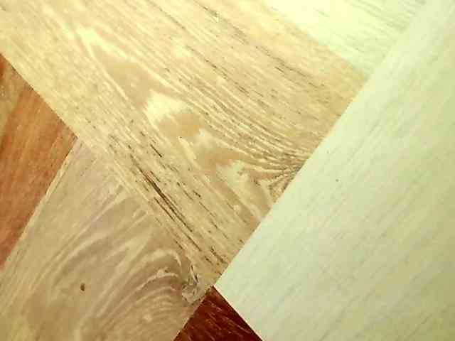 Shannon-kane Shannon-kane