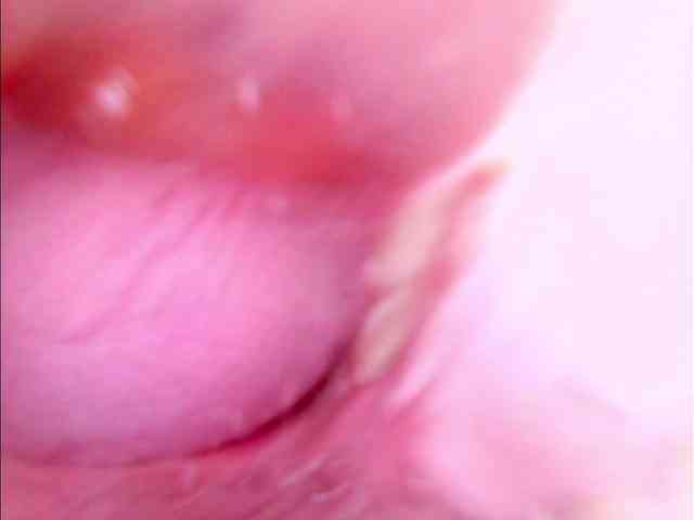 Shannon-kane webcam