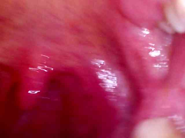 Shannon-kane Shannon-kane