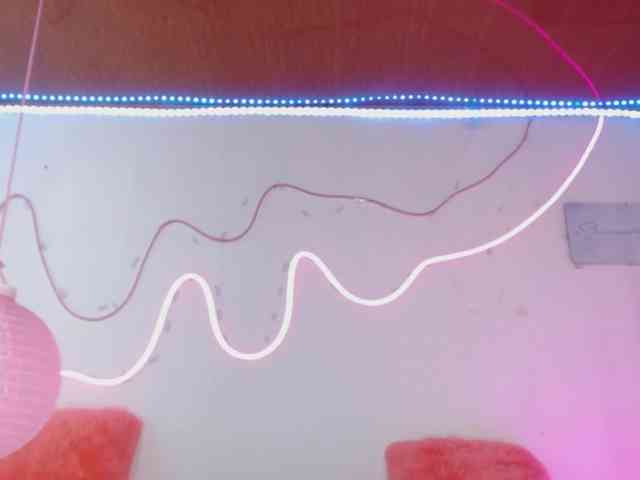 Shannon-kane Shannon-kane