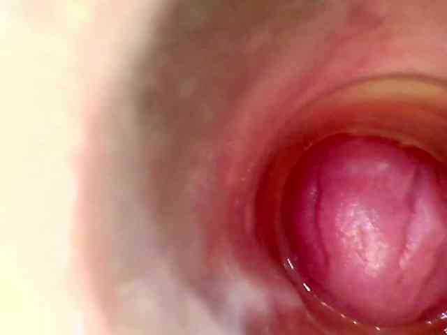 Shannon-kane Shannon-kane