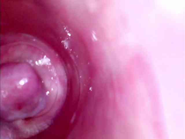 Shannon-kane webcam