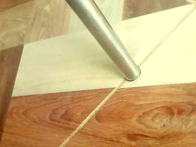 Shannon-kane Shannon-kane