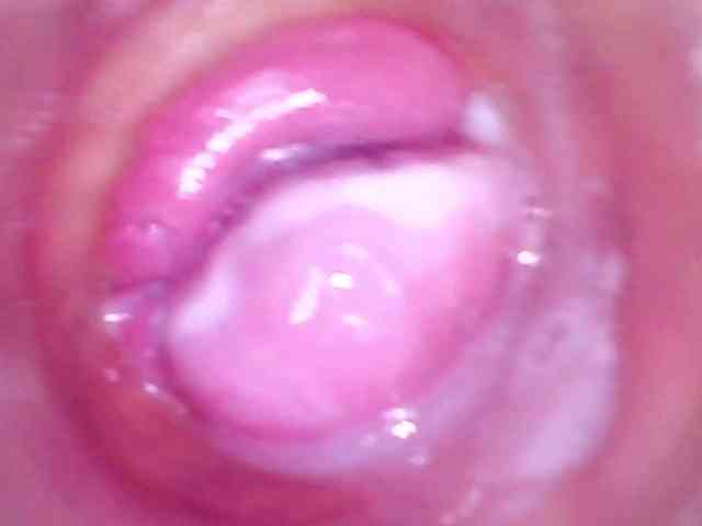 Shannon-kane Shannon-kane