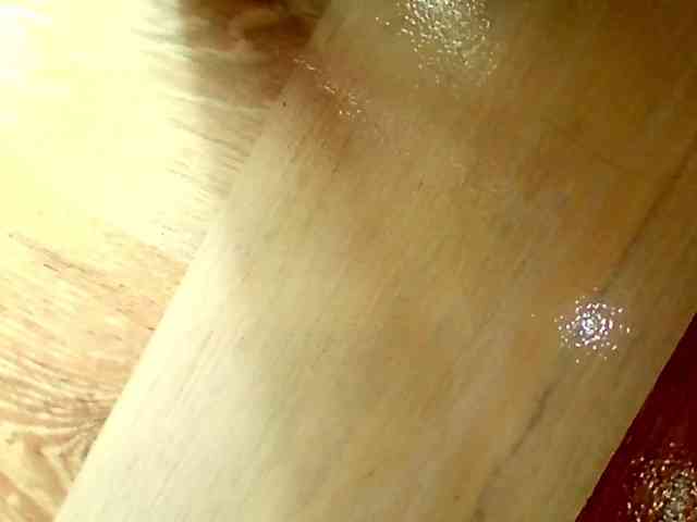 Shannon-kane Shannon-kane