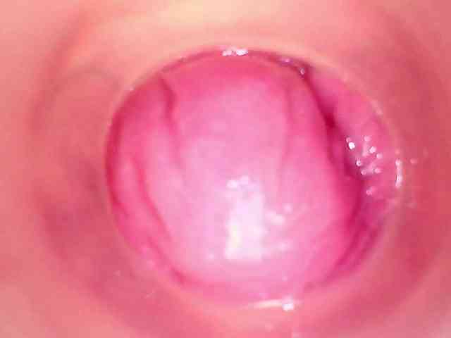 Shannon-kane Shannon-kane