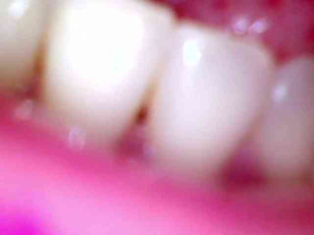 Shannon-kane Shannon-kane