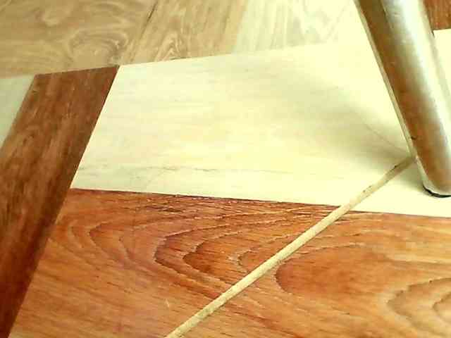 Shannon-kane Shannon-kane