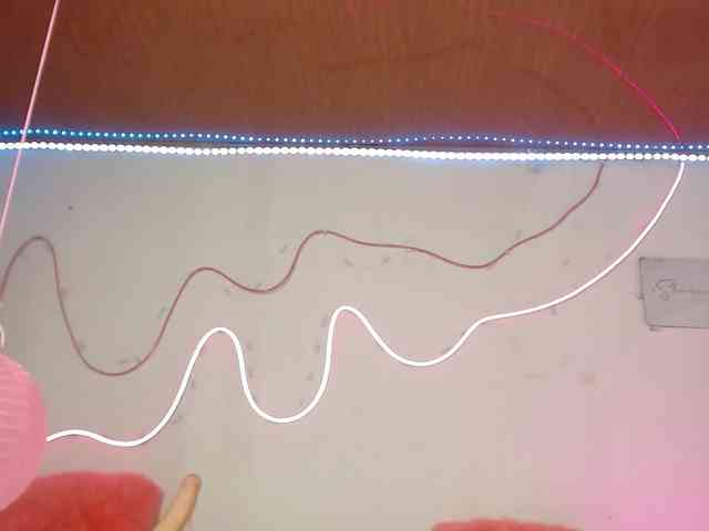 Shannon-kane Shannon-kane