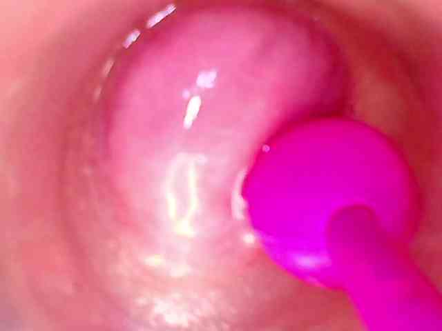 Shannon-kane Shannon-kane