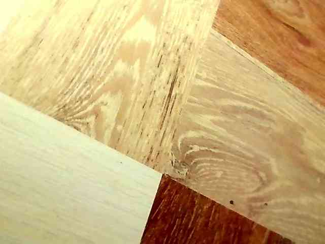 Shannon-kane Shannon-kane