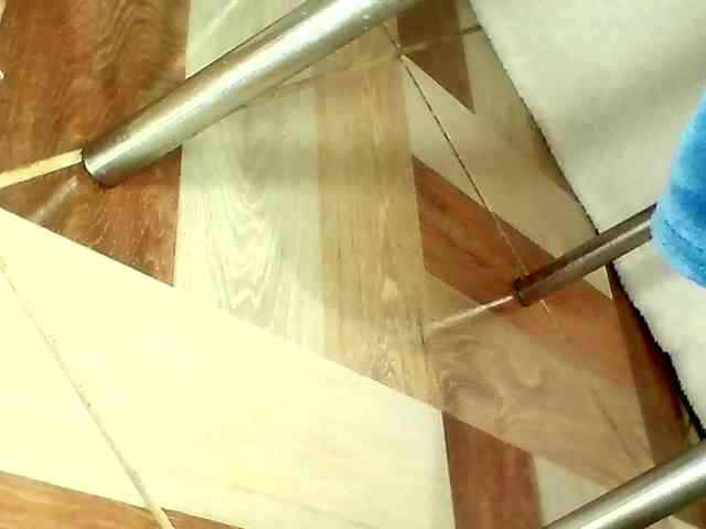 Shannon-kane Shannon-kane