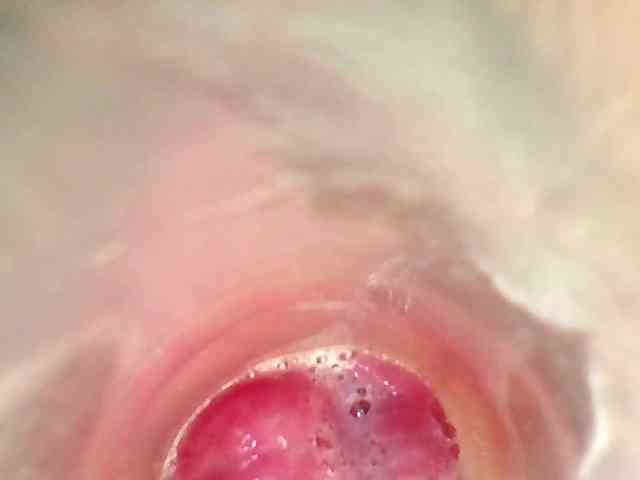 Shannon-kane Shannon-kane