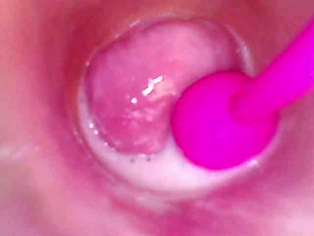 Shannon-kane Shannon-kane