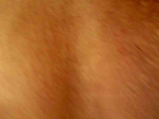 Shannon-kane Shannon-kane