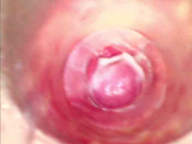 Shannon-kane webcam