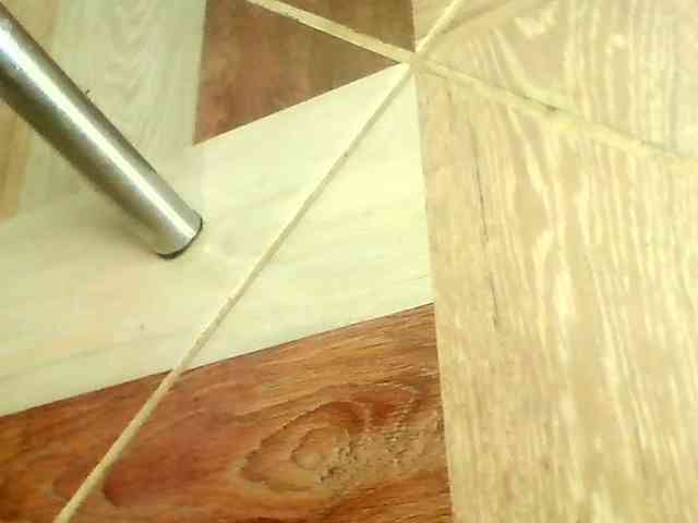 Shannon-kane Shannon-kane