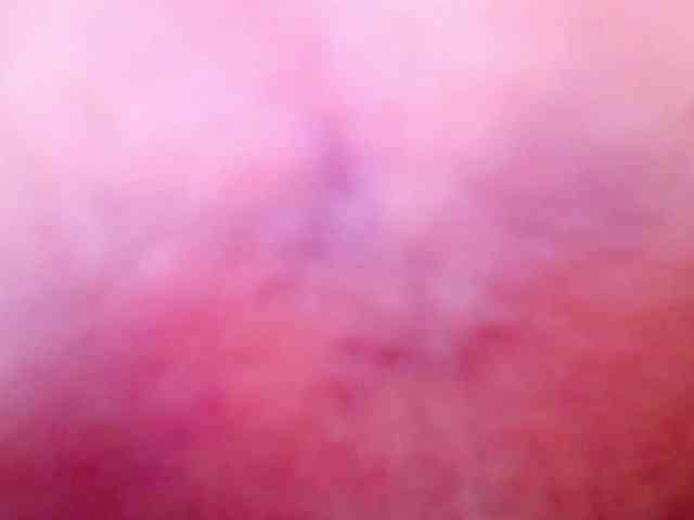 Shannon-kane Shannon-kane